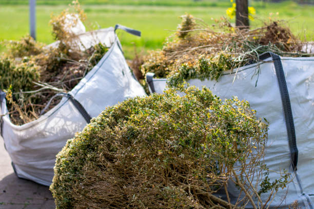 Best Basement Cleanout Services  in Joliet, IL